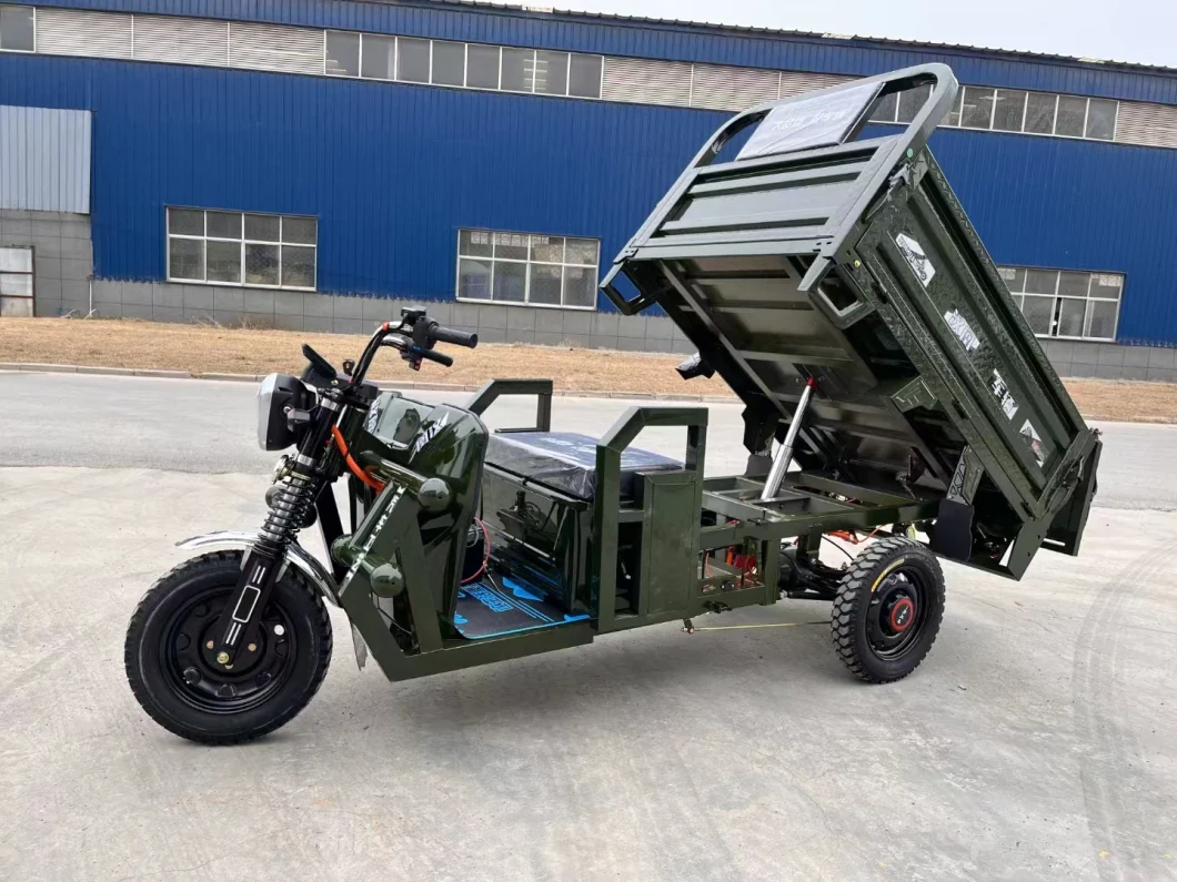 Lb 1500W Motorcycle with Three Wheels Electric Tricycle