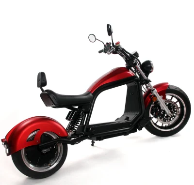 Smart Electric Motorcycle 2 Wheel Citycoco Scooter for Adults