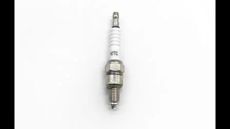 Motorcycle Engine Inex Valve Motorcycle Parts for Ax100