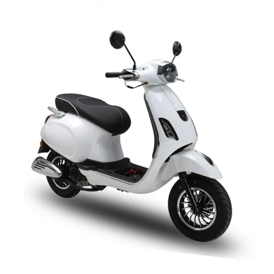 Custom New Design 50cc Petrol Gas Scooter