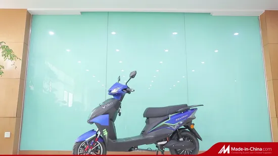 Hot Sell 3 Speed Low Step Electric Motorcycle