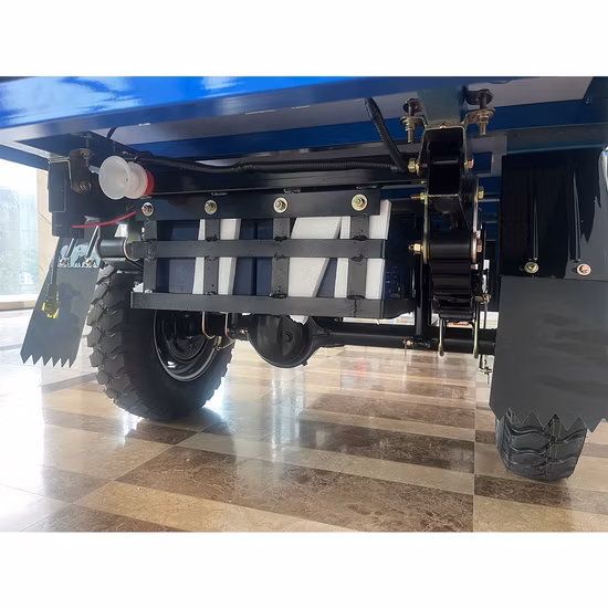 200cc /250ccsingle-Cylinder Water-Cooled Engine Cargo Tricycle/Three-Wheel Motorcycle