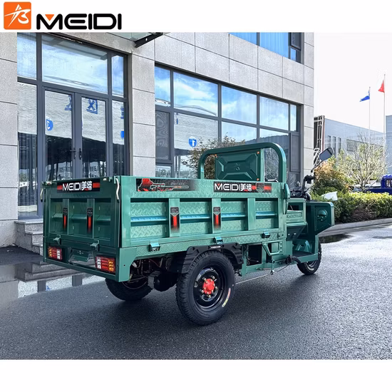 Made-in-China Electric Scooter Tricycle Three Wheel Motorcycle with Adjustable Seat