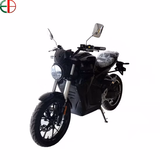 High Speed Cool Electric Racing Motorcycle with Manufacturer Price