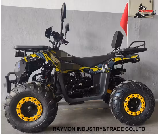 Newthree Wheel Motorcycle 200cc